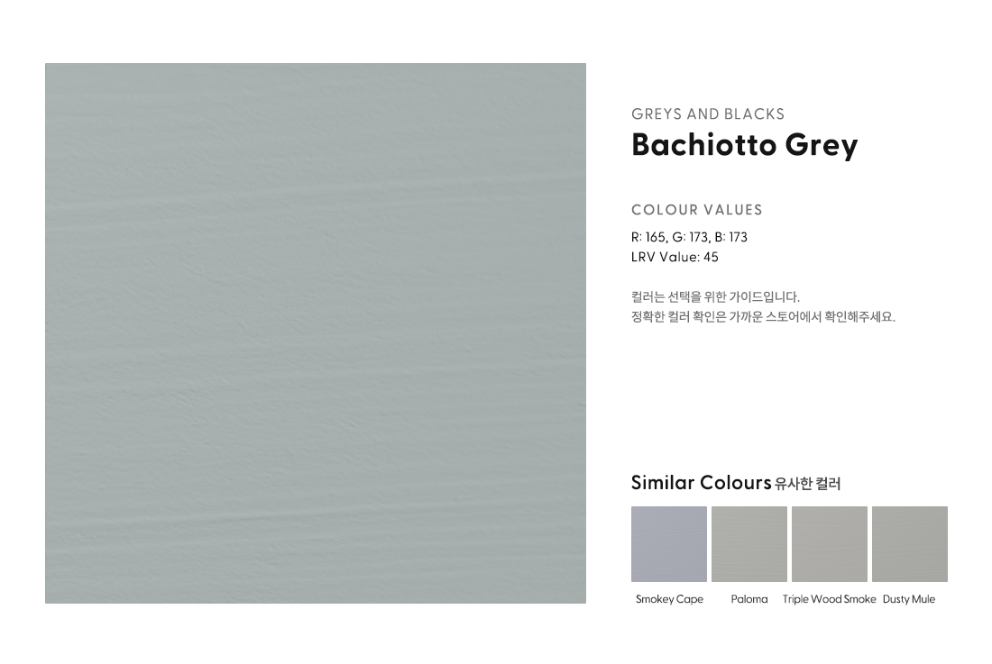 Bachiotto Grey.png