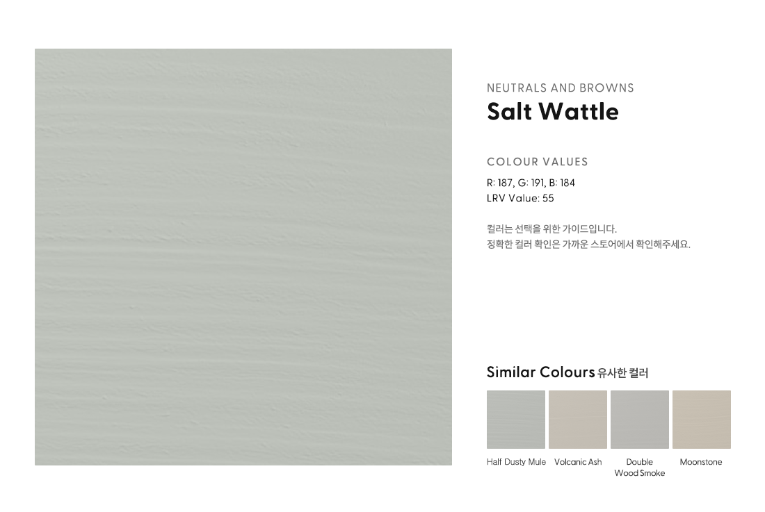 Salt Wattle.png